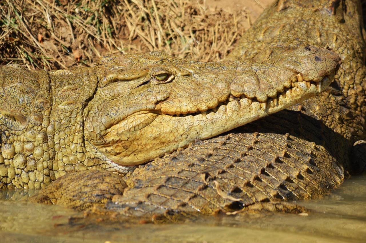 Crocodile Pools Resort Gaborone Exterior photo